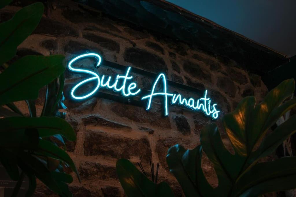 SUITE AMANTIS évadez vous dans l'univers MYKONOS Saint-Chamond Extérieur photo